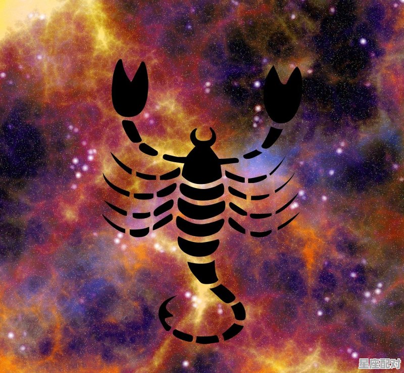 天蝎男适合什么星座女啊啊_能让天蝎男爱到死去活来的星座 - 星座运势