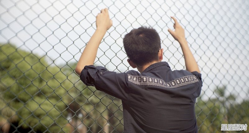 火光冲天打一动物_死灰复燃是什么动物 - 星座运势