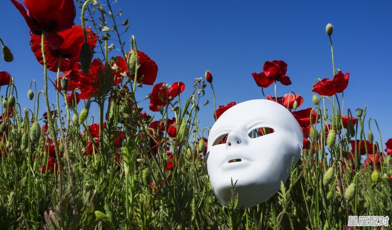 鬼谷子星座,属猴水平座性格 - 星座运势