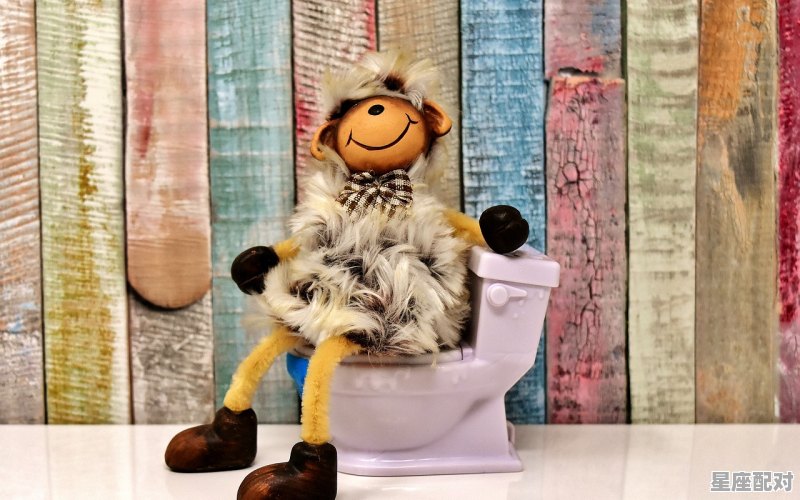 形容卫生间脏乱的词语，梦到肮脏的厕所 - 星座运势