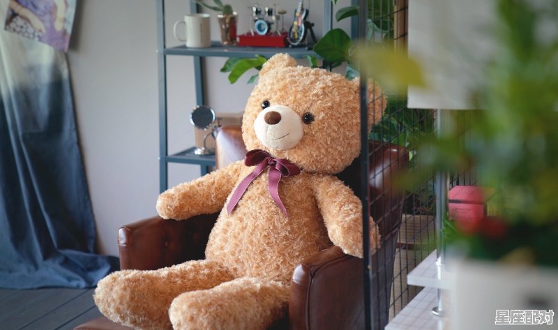 兔子形的字_欲钱买大伯公是什么生肖 - 星座运势