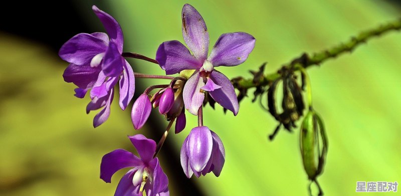 为什么有的人做梦的时候能清晰的感觉到这是梦，大脑很清醒_梦到很真实的梦 - 星座运势