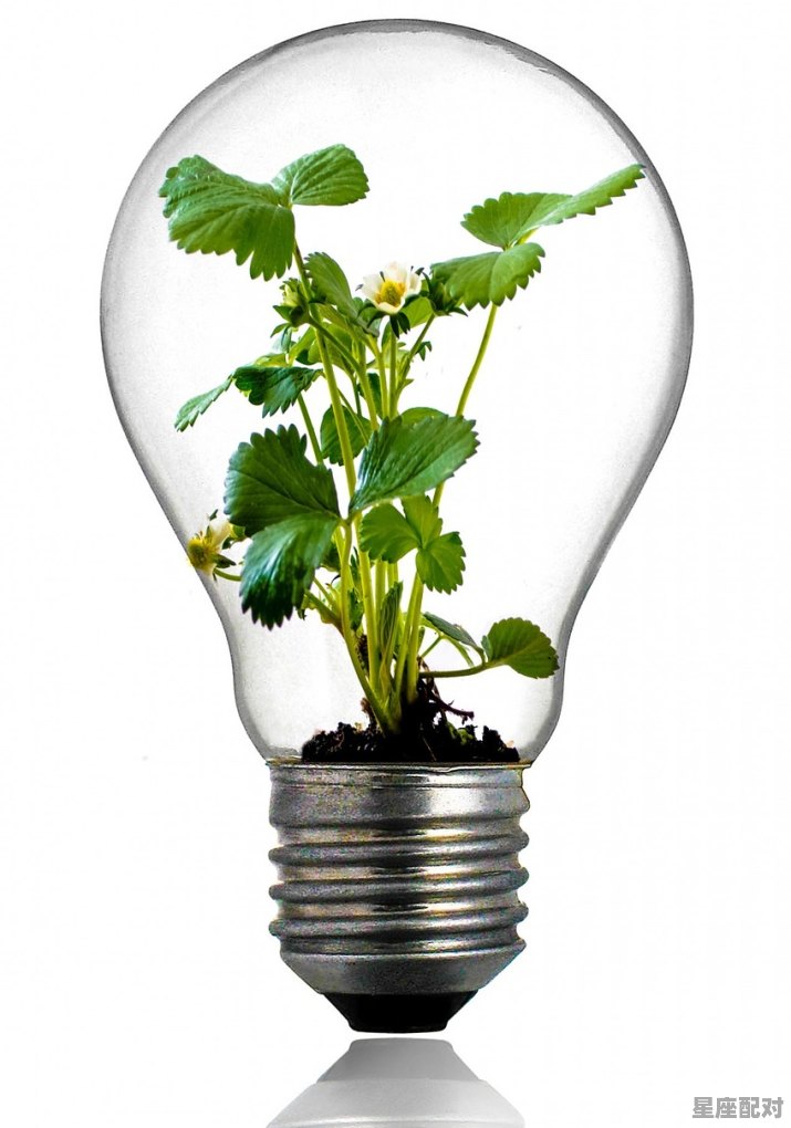 开灯的时候灯泡突然炸裂什么原因，梦到灯泡碎了 - 星座运势