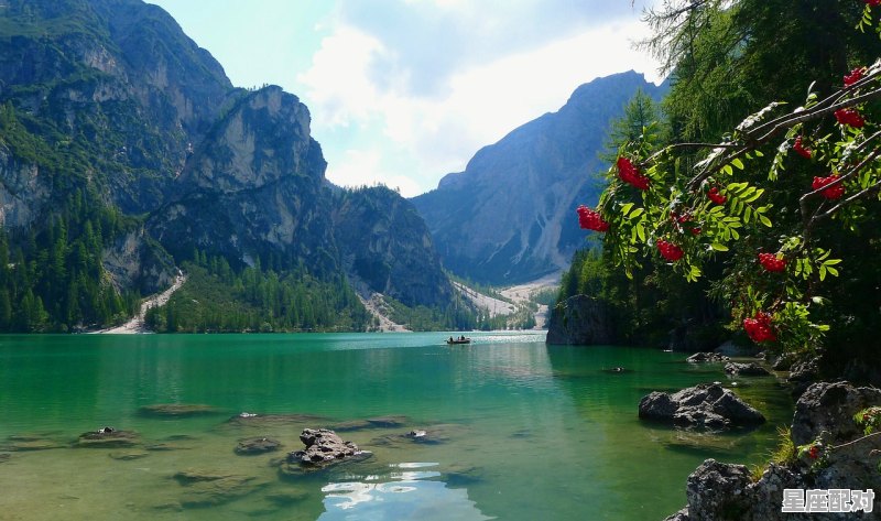 悠悠客从江南来是什么生肖,悠悠客从江南来是什么生肖 - 星座运势