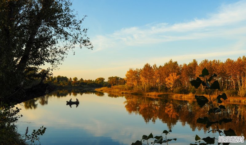 庭院鱼池多深为好,梦到院子里都是水 - 星座运势