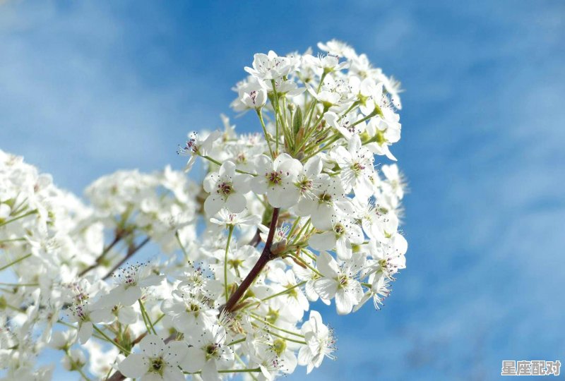 天蝎为啥驾驭不了摩羯,天蝎最不可能和什么星座配对女生呢 天蝎为啥驾驭不了摩羯,天蝎最不可能和什么星座配对女生呢 - 星座运势