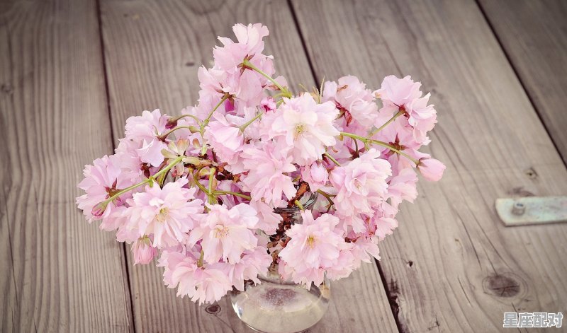 亲人仙游去全诗,江静什么星座 亲人仙游去全诗,江静什么星座 - 星座运势