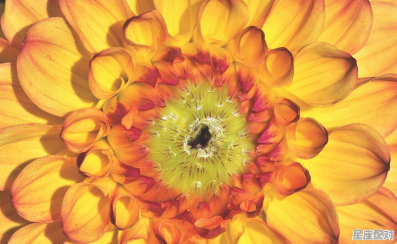 白羊男性格超准分析十大特点,自羊座性格命运 白羊男性格超准分析十大特点,自羊座性格命运 - 星座运势