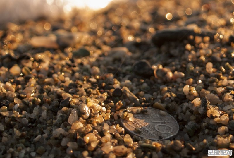 捡古币是什么意思_月亮是我抛的硬币下一句是什么 - 星座运势