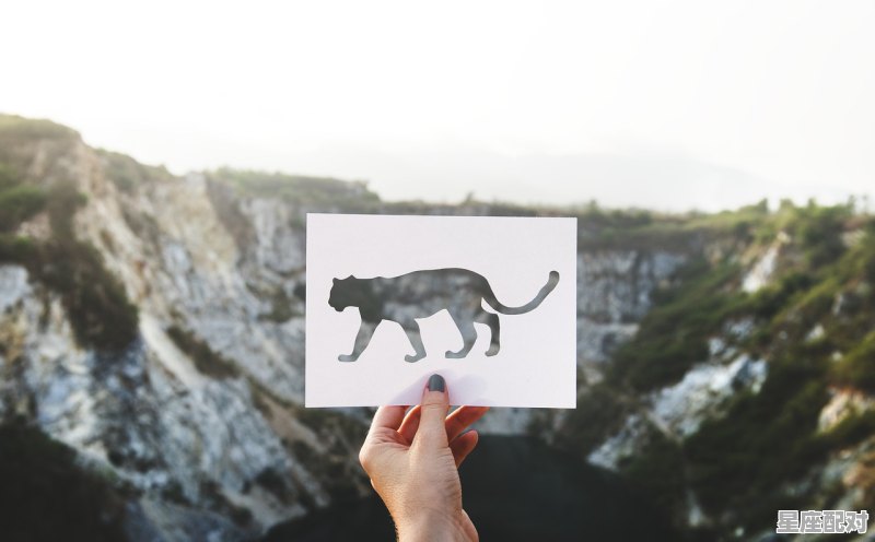 可以问相亲对象什么星座吗_如何俘获白羊座男生 可以问相亲对象什么星座吗_如何俘获白羊座男生 - 星座运势