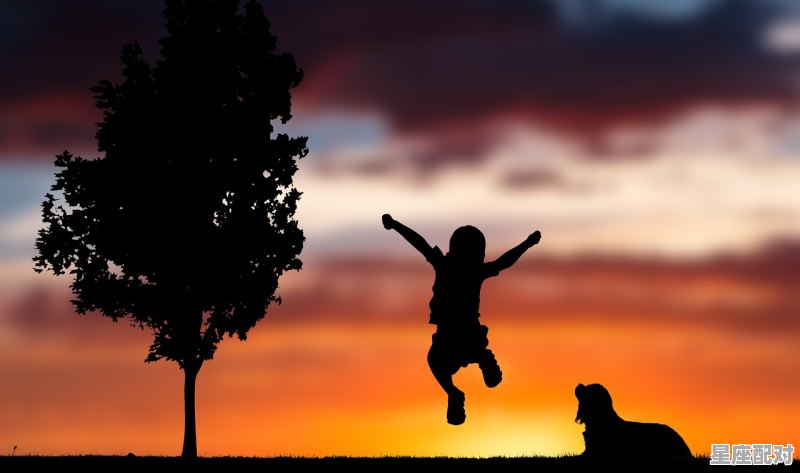 谋安三窟耐人思的意思_明哲保身是指什么动物 - 星座运势