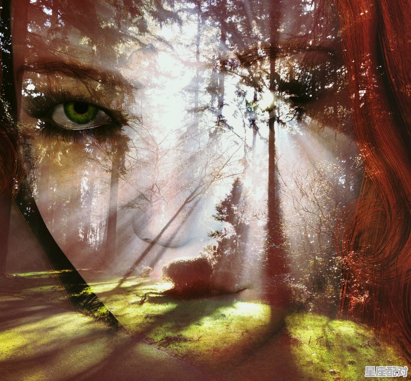 斗罗大陆人物星座都是谁，介绍什么星座的人 - 星座运势