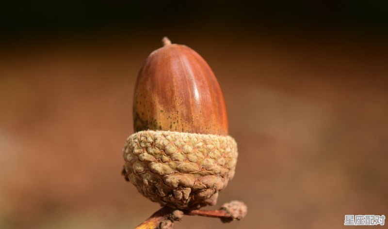 8月中旬到9月中旬属猴运气如何,今日猴90岁运势 8月中旬到9月中旬属猴运气如何,今日猴90岁运势 - 星座运势