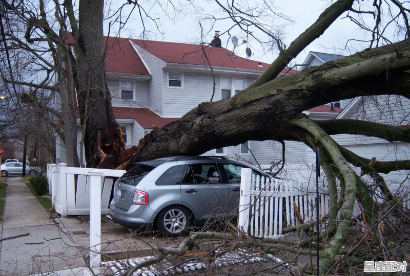 浑浊是什么意思,孕妇梦到狂风暴雨 - 星座运势