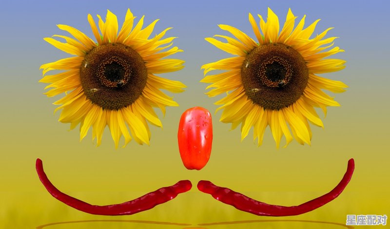 夏至的天气特征及其原因,夏至对应的习俗 - 星座运势