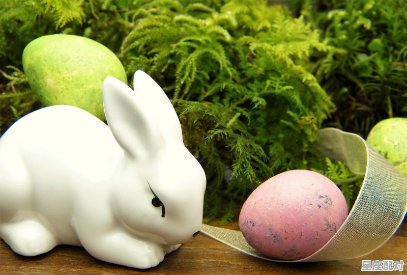 2022年19岁属什么啊,数羊兔今日运势 2022年19岁属什么啊,数羊兔今日运势 - 星座运势