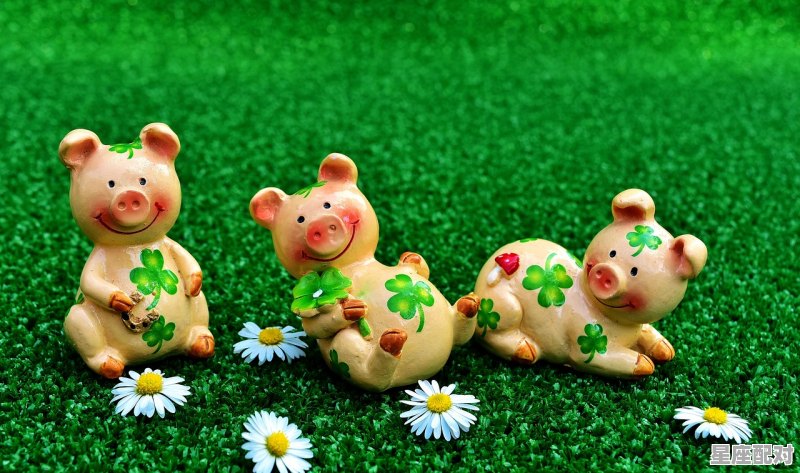 属牛今年运程,今日好属相运势如何 属牛今年运程,今日好属相运势如何 - 星座运势