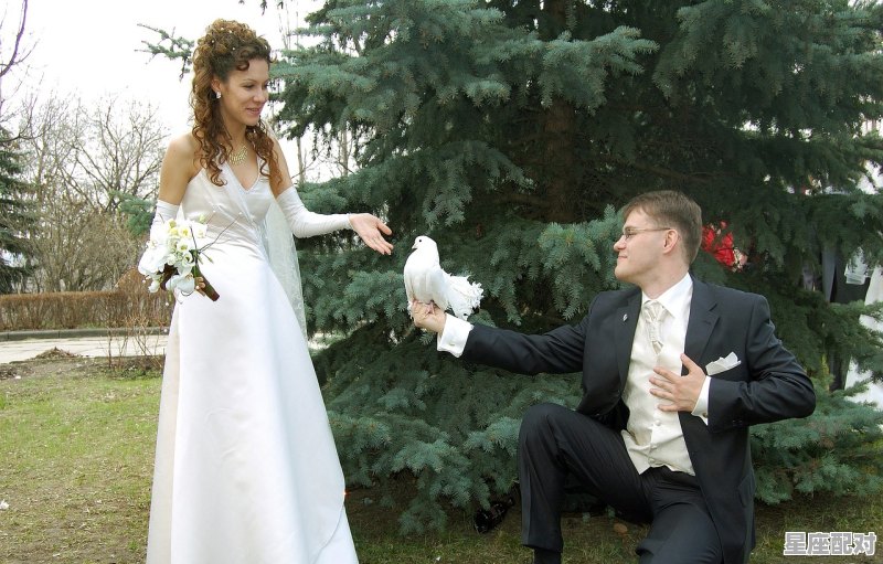 烟台的朋友，请问一下当地在婚嫁方面有什么习俗吗，嫁人要适应习俗 - 星座运势