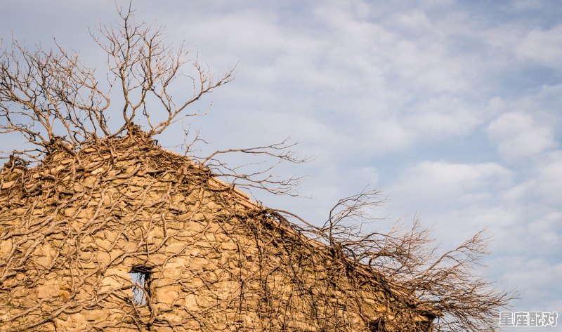端午节的由来简短50字_安塞腰鼓失传原因 - 星座运势