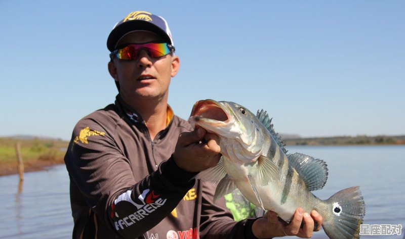 梦见池塘水干有好多大鱼,梦到有大鱼 梦见池塘水干有好多大鱼,梦到有大鱼 - 星座运势