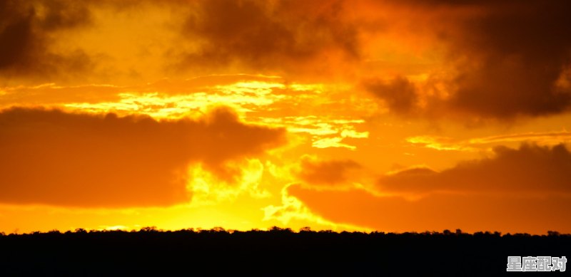 一月三号月亮星座是什么,3.19什么月亮星座 - 星座运势