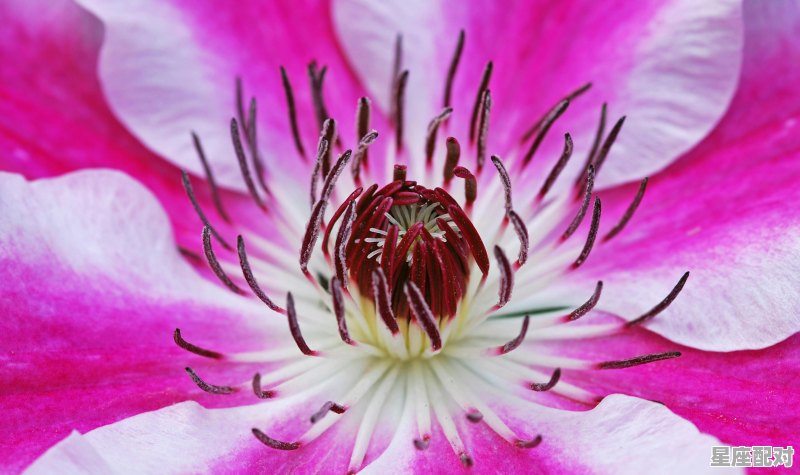 各星座的性格是什么_亢宿相当于水浒中的什么星 - 星座运势