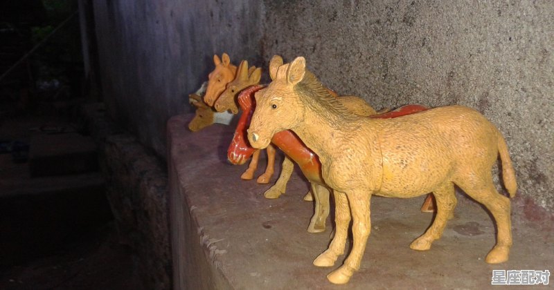 乾坤是指什么动物_牛转乾坤是什么动物 - 星座运势