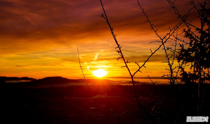 狮子座女一生命中注定的真爱星座，什么是速配星座是什么星座 - 星座运势
