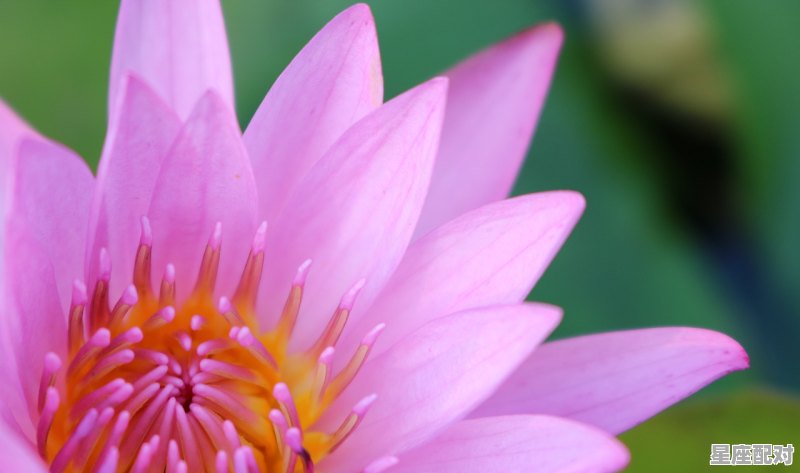 个人星座怎么来的,河是什么星座 - 星座运势