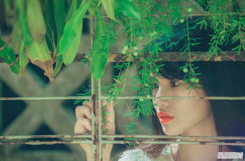 什么星座女天生是温柔乡,什么星座温柔 什么星座女天生是温柔乡,什么星座温柔 - 星座运势