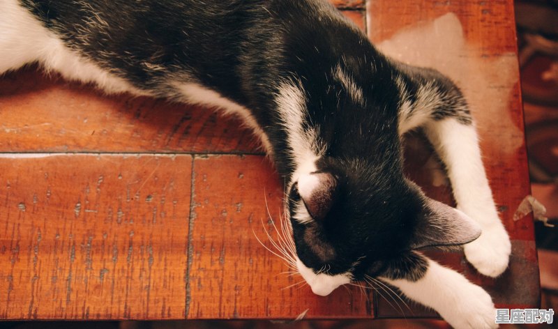 1975到2021多少岁,1975兔女今日运势 1975到2021多少岁,1975兔女今日运势 - 星座运势