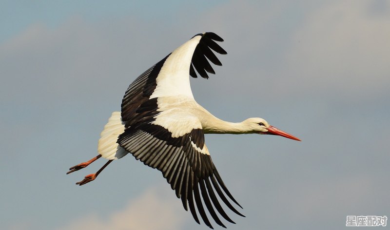 你为我梳妆为我画眉古诗出自哪里,梦到描眉 你为我梳妆为我画眉古诗出自哪里,梦到描眉 - 星座运势