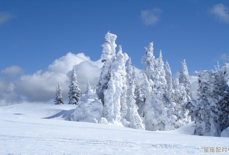 大寒习俗,大寒节气习俗 大寒习俗,大寒节气习俗 - 星座运势