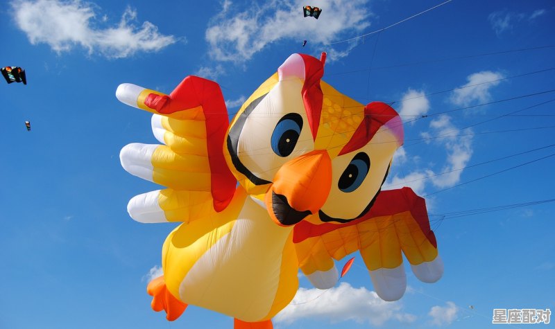 端午节的习俗有哪些呢_端午节的由来和习俗有哪些 - 星座运势