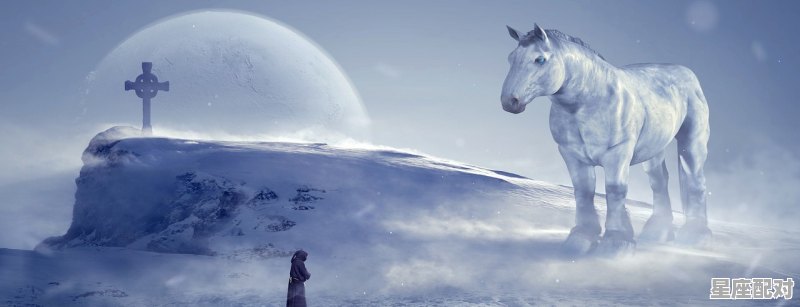 狮子座霸气高冷短句,狮子座性格好冷 - 星座运势