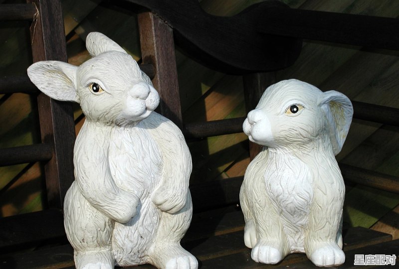 属兔的名人有哪些_三跪九叩猜一数字 - 星座运势