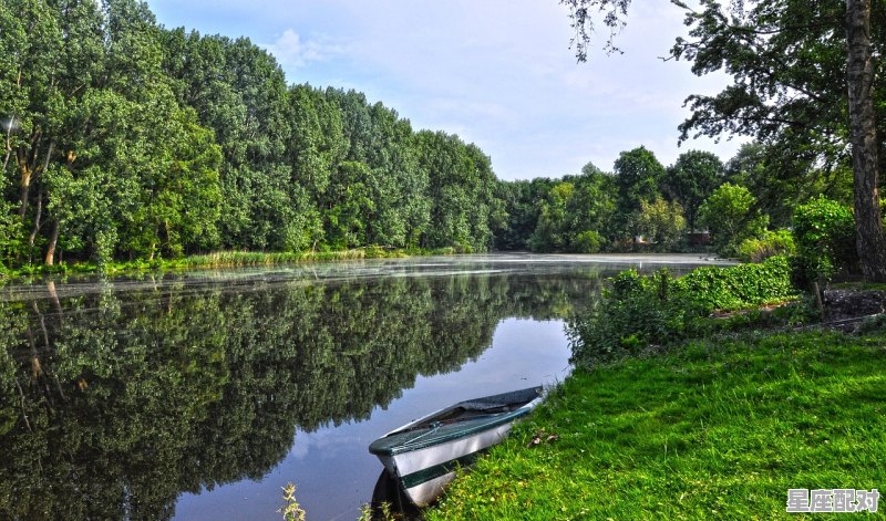 2021虎年怎么样，生肖虎2021今日运势 - 星座运势