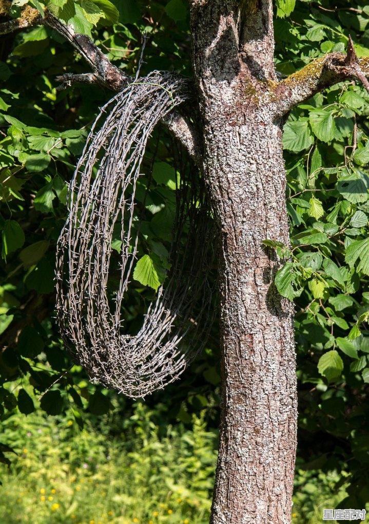 梨树代表着什么意义_形容“果实挂满枝头”用什么诗句最贴切 梨树代表着什么意义_形容“果实挂满枝头”用什么诗句最贴切 - 星座运势