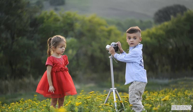 网络用语韭菜是什么意思_孕妇梦到什么生女孩 - 星座运势