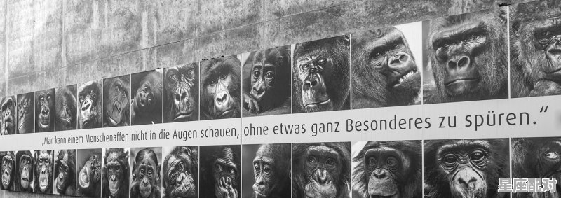 李连杰是几几年出生的_午夜12点适合看什么电影 - 星座运势