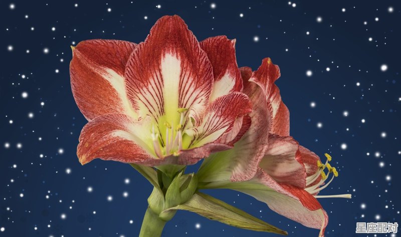 双鱼女可以搞定任何星座男人吗_如何跟双鱼座的女生聊天 双鱼女可以搞定任何星座男人吗_如何跟双鱼座的女生聊天 - 星座运势