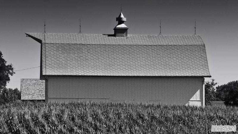 三山一村出富商的意思,商人是什么生肖 三山一村出富商的意思,商人是什么生肖 - 星座运势