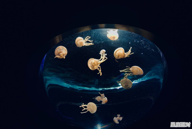 1992农历四月是什么星座,农历4月9是什么星座的 1992农历四月是什么星座,农历4月9是什么星座的 - 星座运势