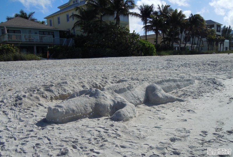 梦到失火了有什么预兆,梦到失火了有什么预兆 梦到失火了有什么预兆,梦到失火了有什么预兆 - 星座运势