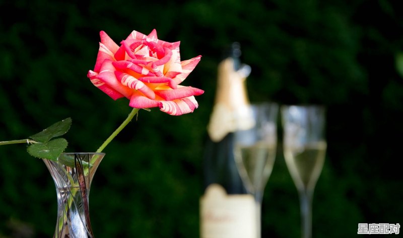 法国人忌讳什么花,法国人的忌讳和习俗 - 星座运势