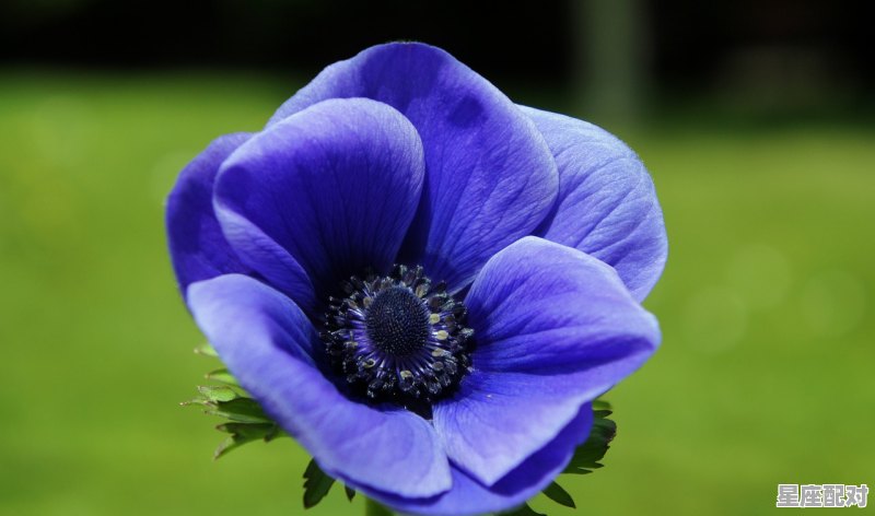 天秤座跟什么星座的男人最配,天秤天秤座和什么星座最配 天秤座跟什么星座的男人最配,天秤天秤座和什么星座最配 - 星座运势