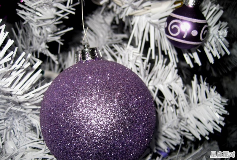 鞋里长虫怎么办，梦到鞋里有虫子 - 星座运势