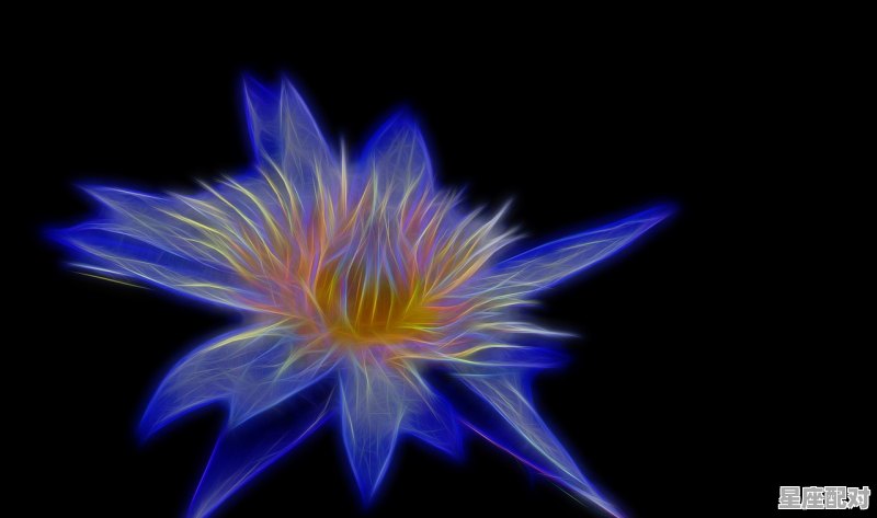 什么叫上升双鱼座_射手座的上升星座是什么星座 - 星座运势