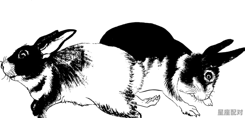 守株待兔的动物_共工是什么动物 守株待兔的动物_共工是什么动物 - 星座运势