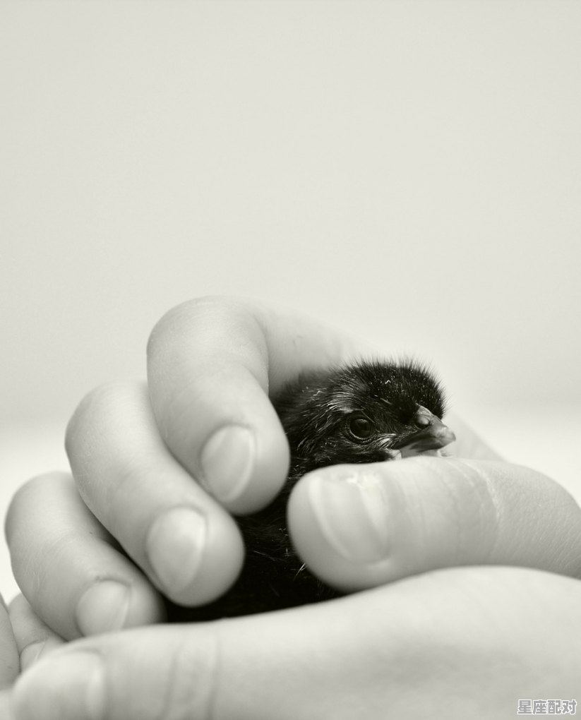 闺蜜之间应该如何保持距离_死党、知己、闺蜜,各什么有什么标准?哪个是最好的形影不离朋友 闺蜜之间应该如何保持距离_死党、知己、闺蜜,各什么有什么标准?哪个是最好的形影不离朋友 - 星座运势